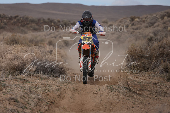 IMG_2527-81n