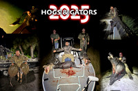 Hogs & Gators