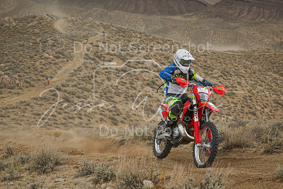 IMG_6079-31n
