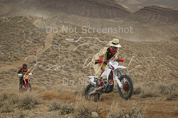 IMG_6115-333t