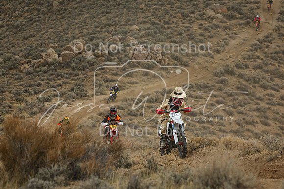 IMG_6111-333t