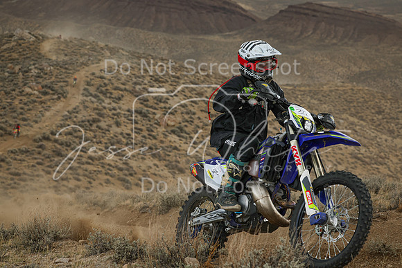 IMG_6211-312n