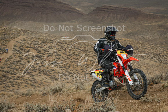 IMG_6376-311p