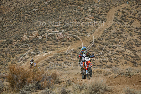 IMG_6431-95n