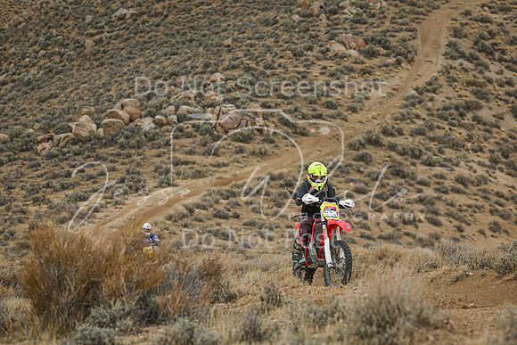 IMG_6465-474w