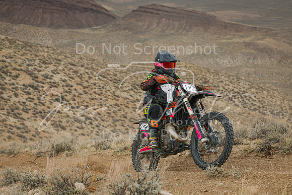 IMG_6549-112w