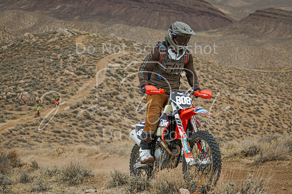 IMG_6567-808n