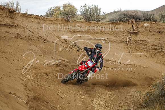 IMG_6615-348n