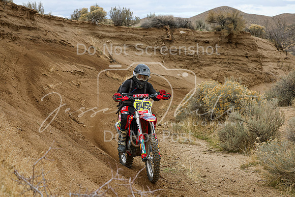 IMG_6800-645x