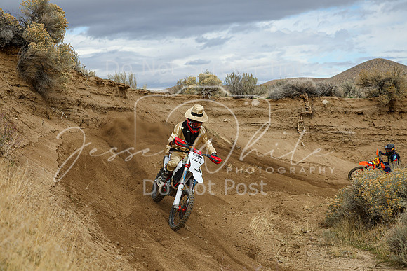 IMG_6904-333t
