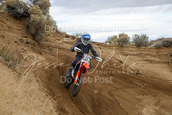 IMG_7132-311a