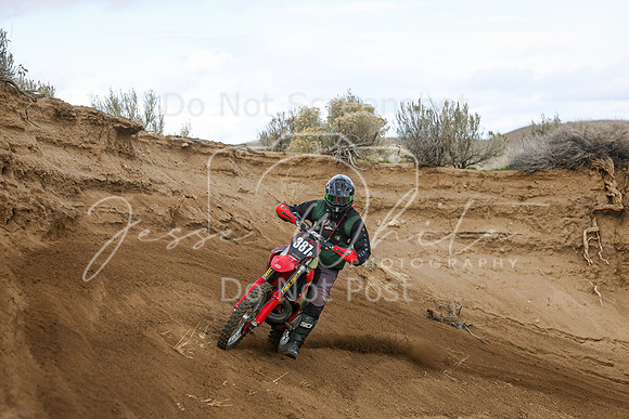 IMG_7248-387p