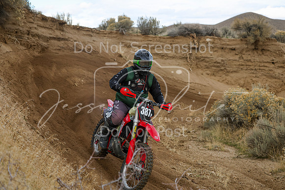 IMG_7252-387p