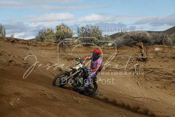 IMG_7342-43p
