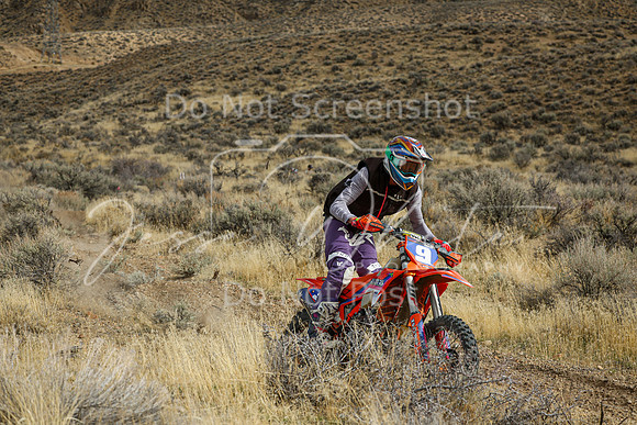 IMG_7491-9