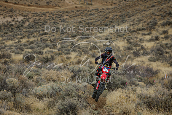 IMG_7500-348n