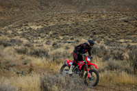 IMG_7505-348n