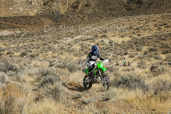 IMG_7528-410p