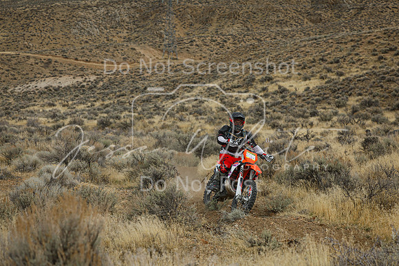 IMG_7674-206c