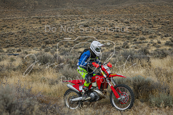 IMG_7716-31n