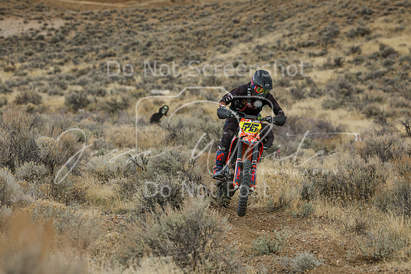 IMG_7755-545p