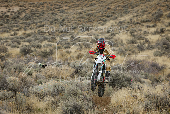 IMG_7817-333t