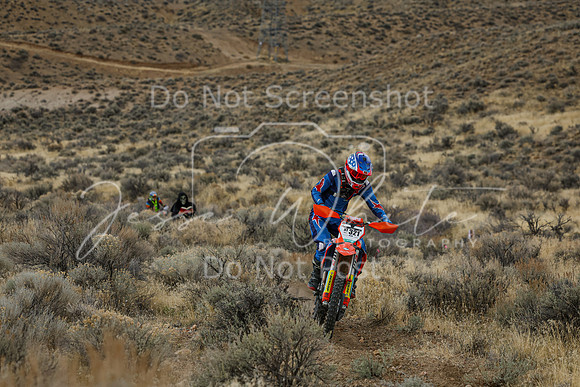 IMG_7871-nt321