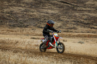 IMG_8102-490z