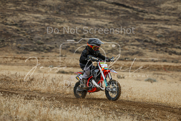 IMG_8102-490z