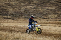 IMG_8115-101z