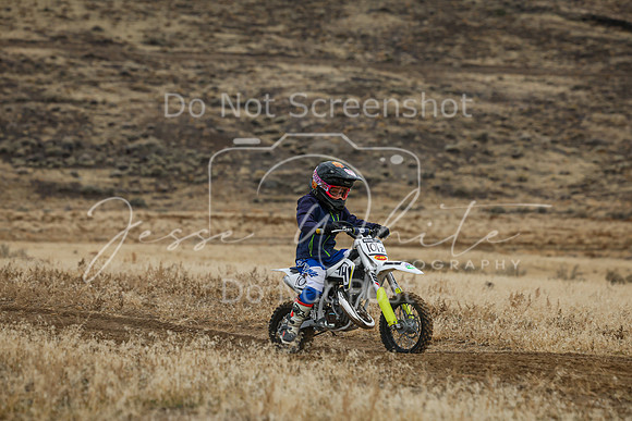 IMG_8115-101z