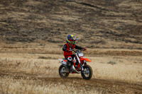 IMG_8113-262z