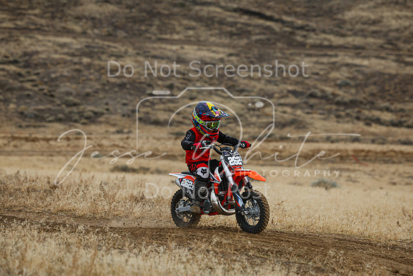 IMG_8113-262z