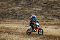 IMG_8117-119z