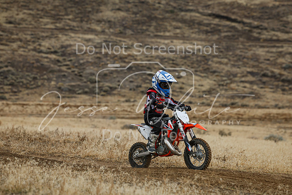 IMG_8117-119z