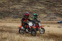 IMG_8122-501z-6z