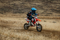 IMG_8137-717e