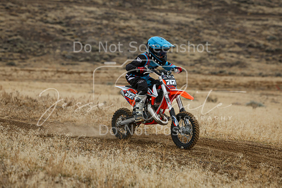 IMG_8137-717e