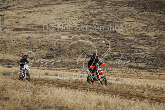IMG_8147-333y