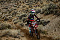 IMG_8831-226j