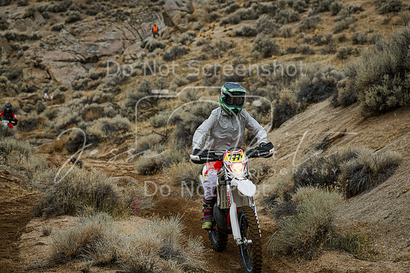 IMG_8896-777v