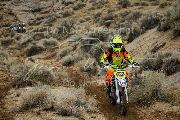 IMG_8975-933y