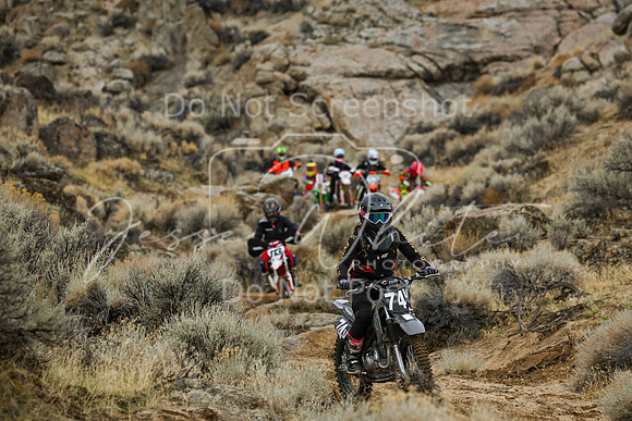 IMG_9007-74v