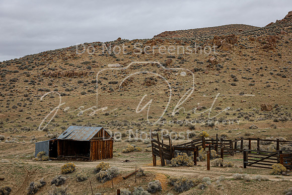IMG_9104-