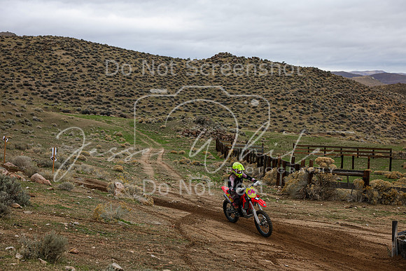 IMG_9256-474v