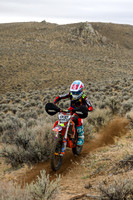 IMG_9455-226j