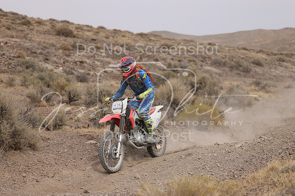 IMG_9112-474j