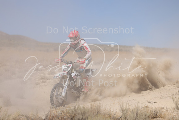 IMG_3620-3t