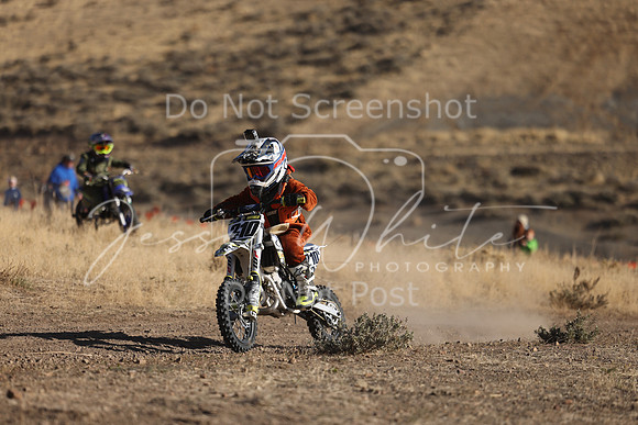IMG_3962-210z
