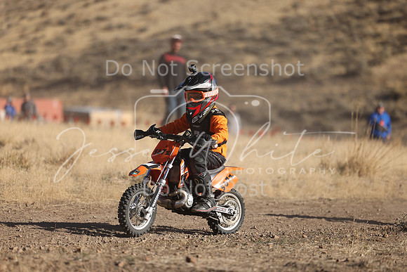 IMG_3984-567z